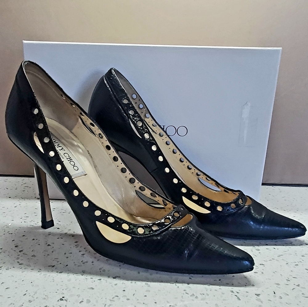Jimmy Choo Erin.  Black Pointy toe heel.